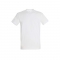 Absolute white-117 