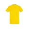 Gold-301 